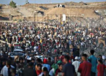 UNICEF Deplores ‘Unconscionable’ Killing of Families Lining up For Aid in Gaza