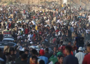Gaza: 875 People Confirmed Dead Trying to Source Food in Recent Weeks