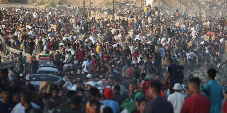 Gaza: 875 People Confirmed Dead Trying to Source Food in Recent Weeks