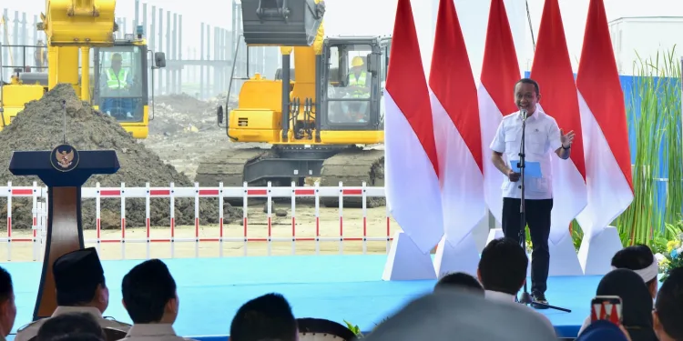 Indonesia Partners with China to Build Asia’s Largest Integrated Electric Battery Industry