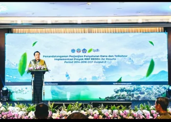 Indonesia Secures USD 103.8 Million from the GCF to Accelerate Climate Change Mitigation