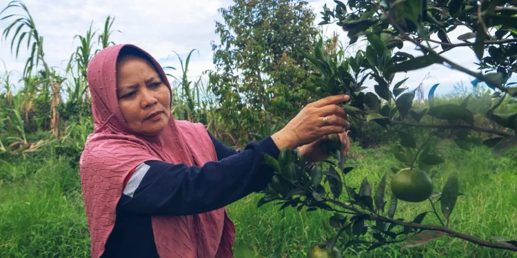 Local Leadership Powers Indonesia’s Climate Ambitions