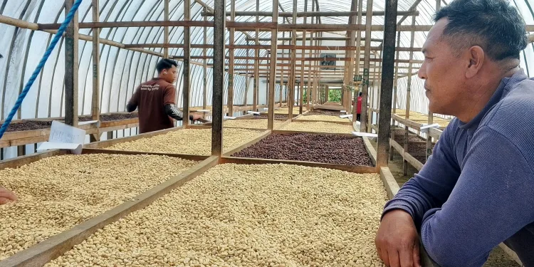 Coffee Bean Husk Waste: The Hidden Raw Material for Exclusive Bukhur