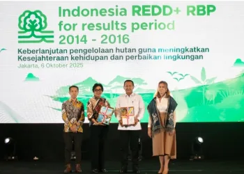 Indonesia Demonstrates Global Leadership In REDD+ Implementation With Tangible Emission Reductions