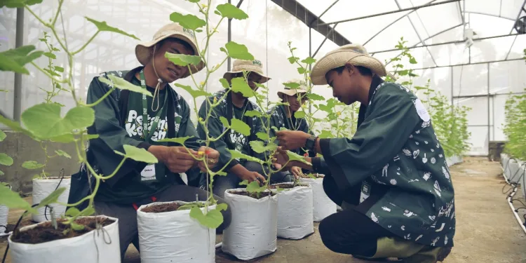 FAO Supports Farmer Regeneration in Indonesia