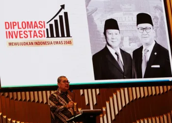 Indonesia Strengthens the Foundation of Investment Diplomacy for International Cooperation