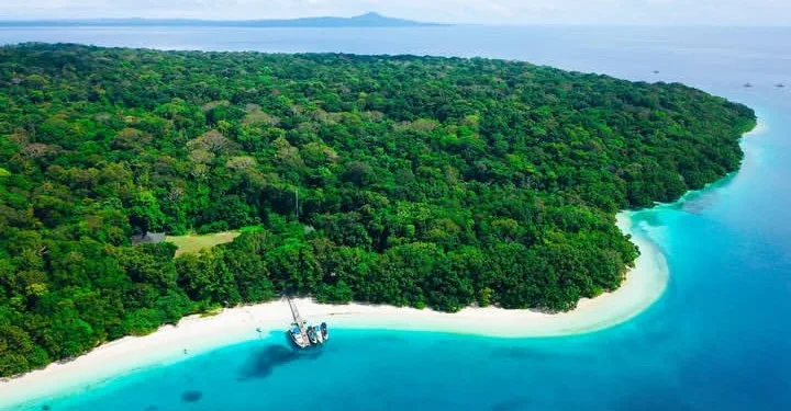 Ujung Kulon National Park Named Best in Asia for Combating Wildlife Poaching
