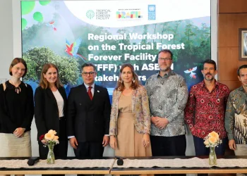 Brazil and UNDP Promote Large-Scale Financing for Tropical Forest Conservation