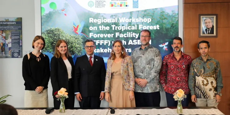 Brazil and UNDP Promote Large-Scale Financing for Tropical Forest Conservation