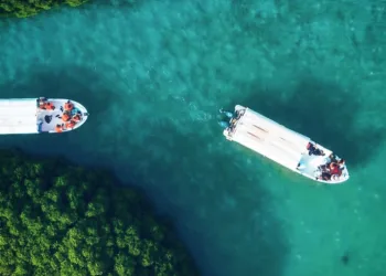 Saudi Arabia Expands Coral Reef Monitoring Program in Arabian Gulf