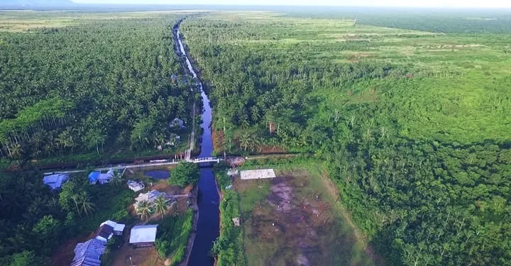 Indonesia Leads Global Climate Action and Tropical Peatland Restoration