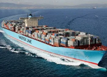 Thousands of Indonesian Shrimp Containers Cleared to Enter the United States