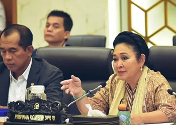 Indonesian Parliament Approves Additional $129 Million Spanish Loan for MFISS Project