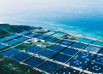 Indonesia’s Blue Food Potential Holds the Key to Global Food Security