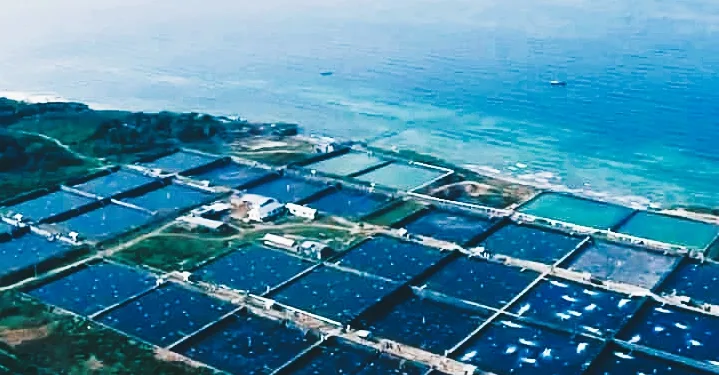 Indonesia’s Blue Food Potential Holds the Key to Global Food Security