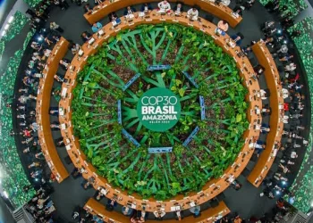 COP30: Amazonian Countries Launch Regional Connectivity Alliance