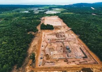 Disaster in Pomalaa: Forest Destroyed by Nickel Industry, Mud Floods Invade Residents
