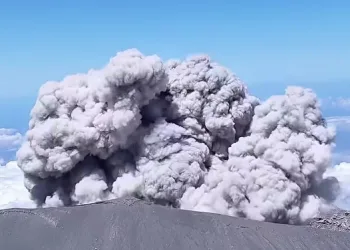 Semeru’s Major Eruption Cripples Public Infrastructure and Education Services