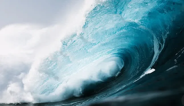 The World is Going Blind Without Ocean Data 1 The World is Going Blind Without Ocean Data