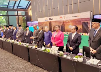Indonesia and South Africa Launch ISA–HLBC in Johannesburg
