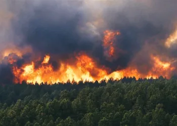 UNESCO Forests Burn as Iran Battles One of its Worst Wildfire Seasons