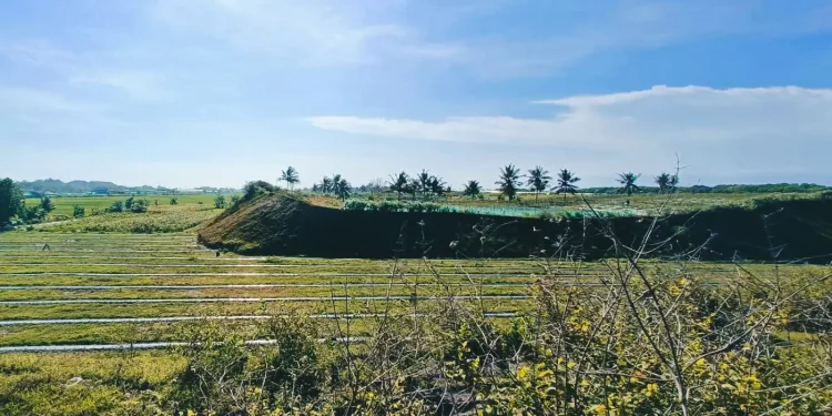 Java’s Natural Tsunami Barrier in the South is Rapidly Disappearing