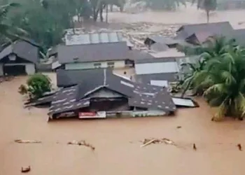 Sumatra Disaster: 72 Dead as Forest Destruction Takes Center Stage