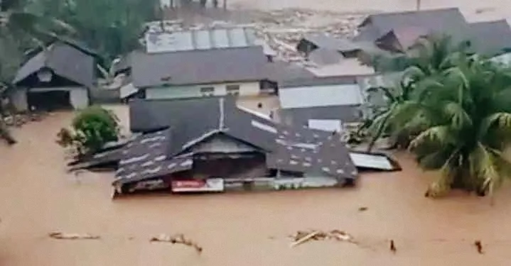 Sumatra Disaster: 72 Dead as Forest Destruction Takes Center Stage