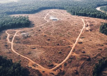 WALHI Reveals Seven Companies as Key Drivers of Ecological Disaster in Sumatra