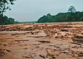Sumatra Disaster Death Toll Rises to 316, Greenpeace Warns the Island Is Being “Sold Off”