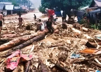 Sumatra Disaster Update: 442 Dead, 402 Missing
