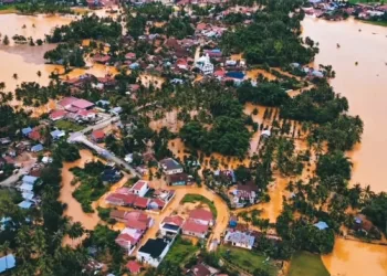 Expert: Sumatra Disaster Driven by Severe Forest Ecosystem Degradation in Upstream Watersheds