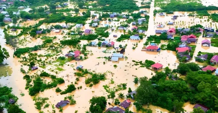 Sumatra Has Collapsed: Death Toll Reaches 753 as Pressure Mounts for National Disaster Status