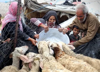 Food Crisis Worsens: 30.5 Million People in Asia-Pacific Must Be Saved Immediately