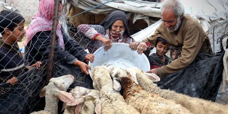 Food Crisis Worsens: 30.5 Million People in Asia-Pacific Must Be Saved Immediately