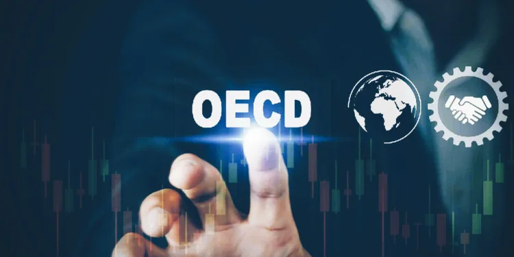OECD: Asia Emerges as the Hub of Digital Finance, Indonesia Plays a Major Role