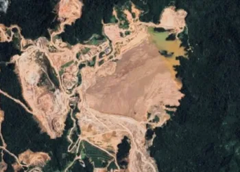 Rampant Deforestation in Sumatra: Forests Shrinking, Rivers in Crisis, Floods Devastate