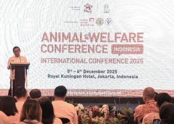 Global Collaboration Begins: Jakarta Positions Itself as an Animal-Friendly City