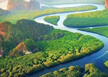 ADB Warning: Asia-Pacific on the Brink of a New Water Crisis