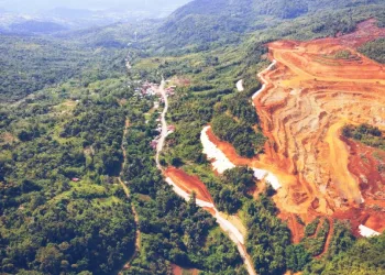 Illegal Miners Destroying Indonesia’s Forests Face Fines of Up to US$400,000 per Hectare