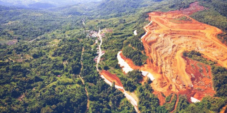 Illegal Miners Destroying Indonesia’s Forests Face Fines of Up to US$400,000 per Hectare
