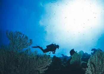 Coral Triangle on Red Alert