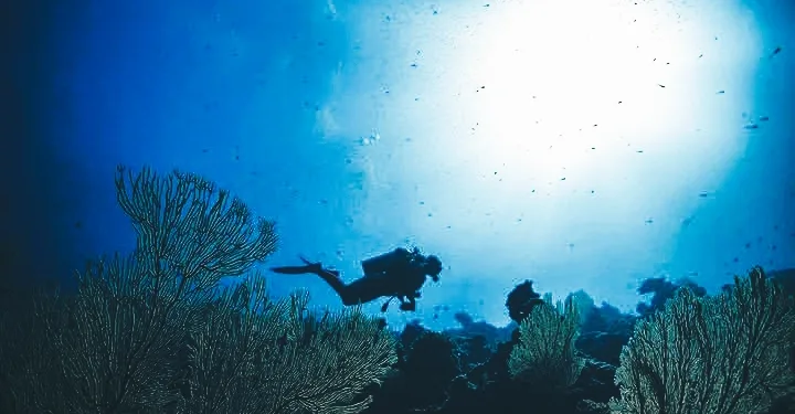 Coral Triangle on Red Alert