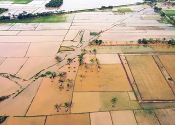 Indonesia Faces Food Crisis: Ranked 63rd Globally, Self-Sufficiency Still Out of Reach
