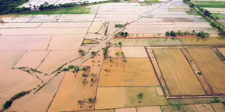 Indonesia Faces Food Crisis: Ranked 63rd Globally, Self-Sufficiency Still Out of Reach