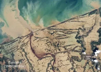 Sumatra Disasters Deemed Ecocide and Structural Human Rights Violations