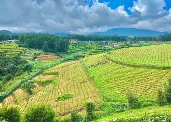 Global Funds Flow into Sri Lanka
