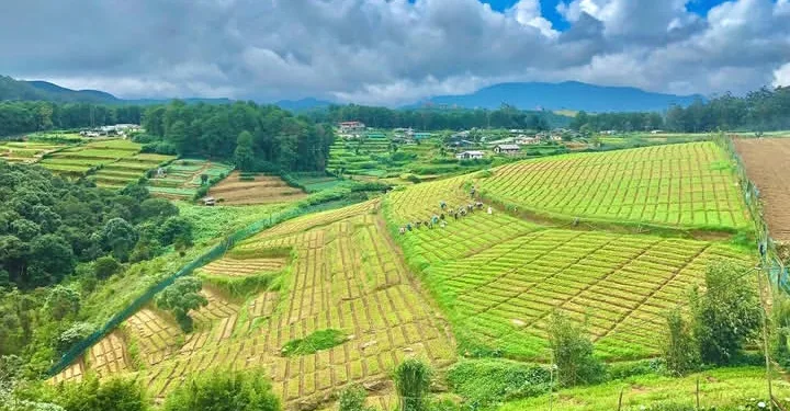 Global Funds Flow into Sri Lanka