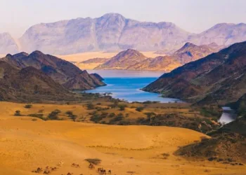 An Eternal Oasis on the Tihama Coast