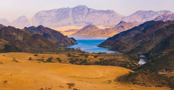 An Eternal Oasis on the Tihama Coast